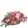 Rosemantic '