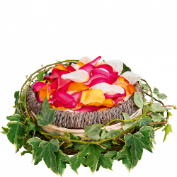 Blütenblätter der Erinnerung