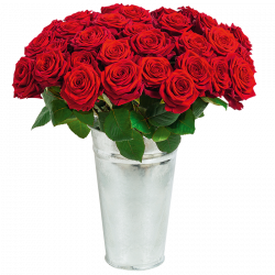 Rosen des letzten Abschieds