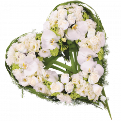 Cur d'ange