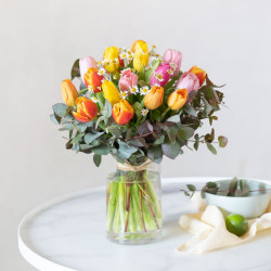 Nos charmantes tulipes