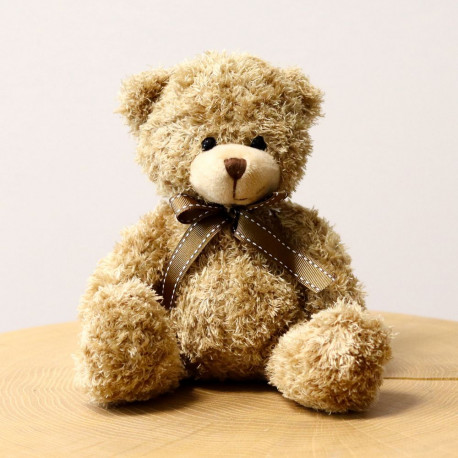 Ourson